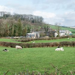 Smithy Green Farm