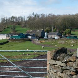 Hollin Hall Farm