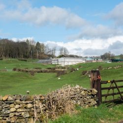 Hollin Hall Farm