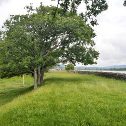 Railway embankment Bar End 2024 - looking north