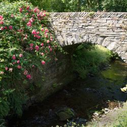Newland Bottom bridge