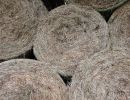 Hay bales