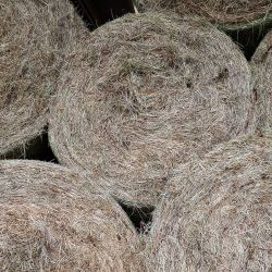 Hay bales